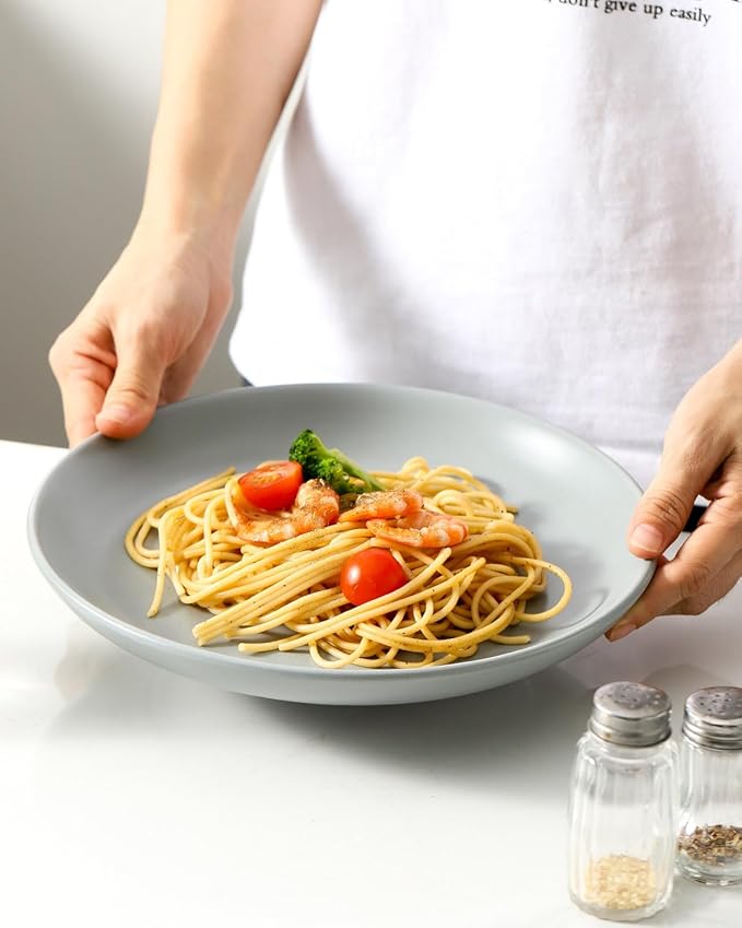 Dinner Plates Set of 4, 10 Inch Plates Set for Salad, Appetizer, Dessert, Stoneware Dinnerware Dishes for Kitchen Gift, Microwave & Dishwasher Safe, Pebble Gray