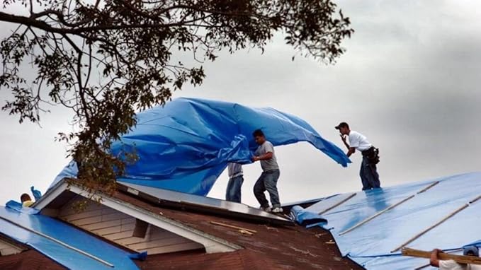 3 in a Pack, Maximize Value, Minimize Cost, Multipack Advantage with Budget-Friendly Poly Tarps, 2.5 Mil Cheap Large Light Tarps, Multipurpose Waterproof Protective Cover, 10x12 Feet, Blue