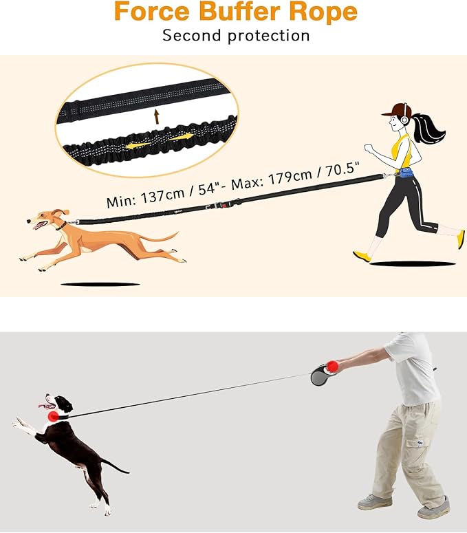 Pecute Dog Leash Hands Free with Pouch, Waist Belt Fanny Pack with Soft Pads, Dual Handles and Durable Bungee for Walking, Dog Seat Belt, Hiking, Running, Training,Blue(Up to 180lbs)