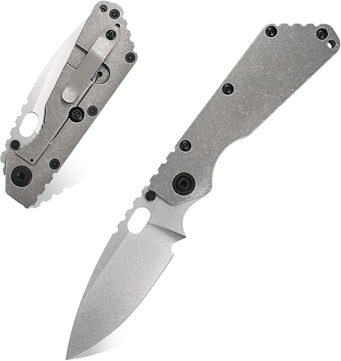 Eafengrow EF225 Pocket Knife Hunting Knives D2 Blade Titanium Handle with Clip EDC Tools Working Camping Knife(gray)