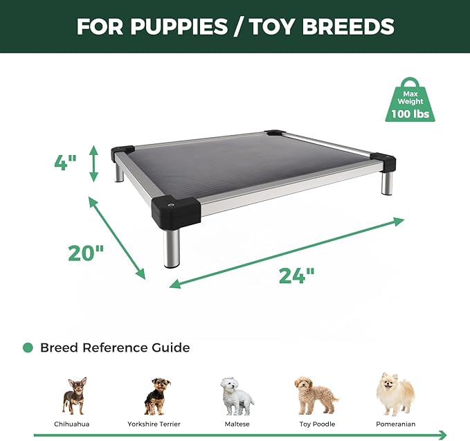 FXW TitanNest Chew-Proof Elevated Dog Bed, Raised Cot for Indoor/Outdoor/Camping Use, Durable & Washable Padded Pet Bed for Toy Dogs, 24.0" L x 20.0" W x 4.1" H, Gray