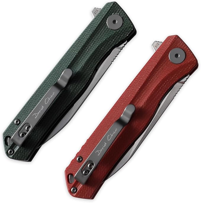 Petrified fish G10 handle D2 steel blade 2CR13 liner ball bearing flipper folding knife camping hunting EDC pocket tool PF818 (Gray, Satin)