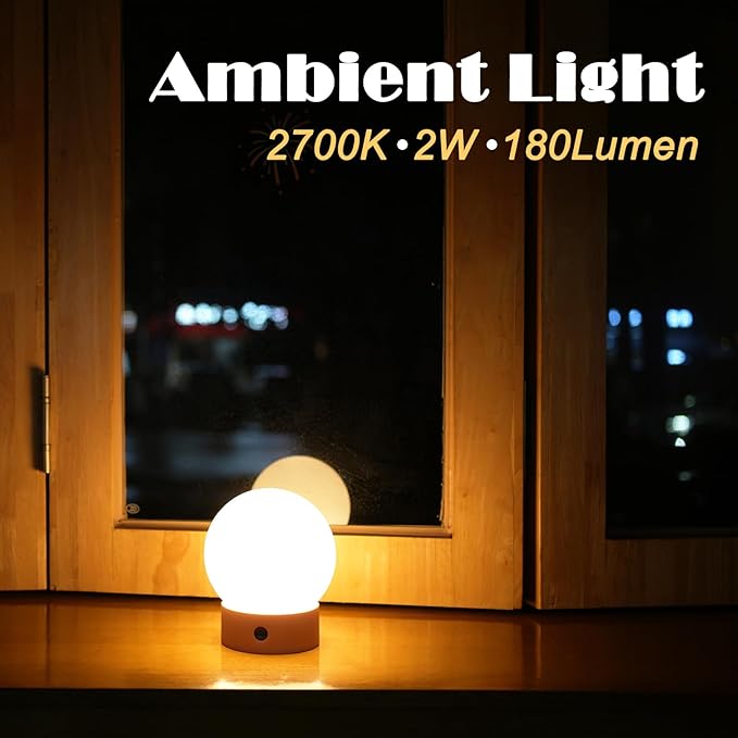 Small Cute Cordless Table Lamp Rechargeable, Battery Operated Shower Lamp Waterproof, Touch Dimmable Globe Ambient Light for Outdoor/Bedside/Patio/Dining (Orange)
