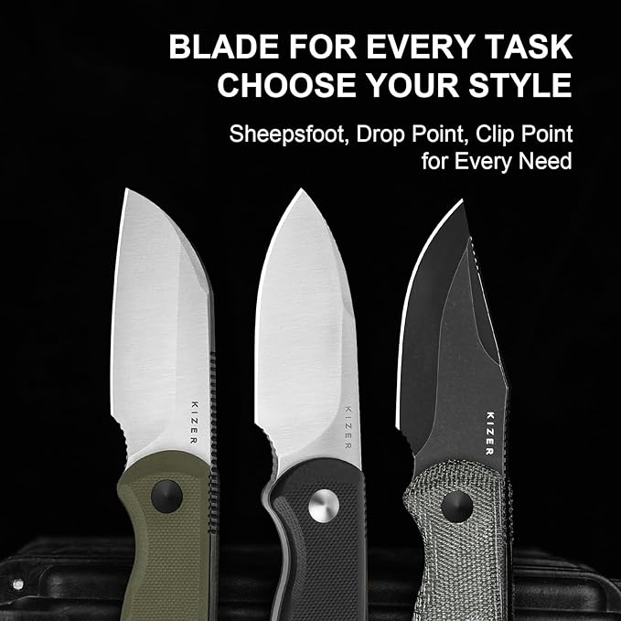 Kizer Drop Bear Fixed Blade Knife, 2.57" D2 Satin Blade EDC Camping Knife with Black G10 Handle and Hidden Tools, Outdoor Full Tang Hunting Survival Knives with Adjustable Kydex Sheath, 1094M2