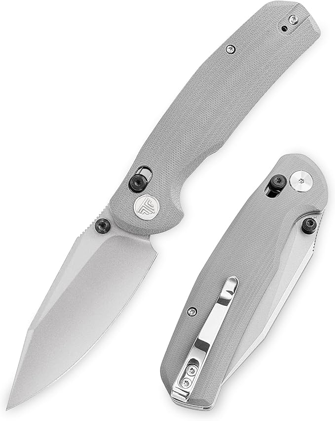 Axis Knives, EDC Folding Knife for Men, Pocket Knife with Clip,3.34” 14C28N Steel,Thumb Stud Blade,Grey G10 Handle.Outdoor Camping Tool,Hornet-03G