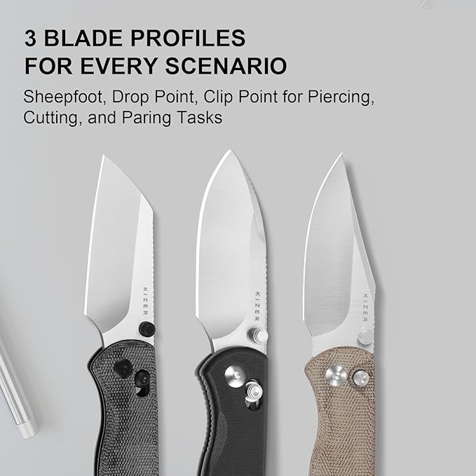 Kizer Drop Bear 2 Pocket Knife, 2.84" AEB-L Drop Point Blade Folding Knife with Black G10 Handle, Clutch Lock EDC Knives with Jimping on Spine for Men Women V3619.2KD1