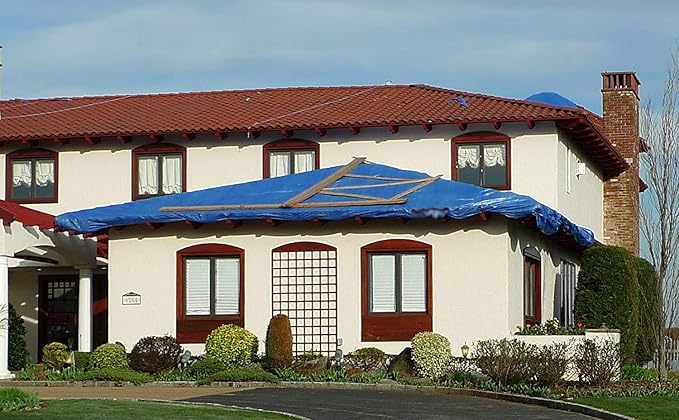 Kotap 30 x 60 Ft. All-Purpose Multi-Use Protection/Coverage 5-mil Poly Tarp, Waterproof, Blue, (TRA-3060)