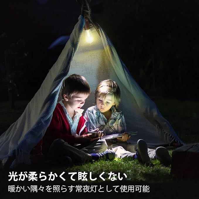 2 Pack Battery Operated Hanging Tent Light Bulb,Portable Outdoor Vintage LED Camping Light,Hurricane Pendant Emergency Lighting Lantern for Hiking Backpacking Fishing Outage Power Failure