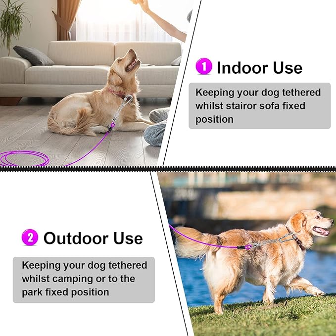 Jenico Dog Tie Out Cable - 10/15/20/30/40/50/70/100/150FT Runner Cable with Swivel Hook and Shock Spring, for Small to Medium Pets Up to 500 LBS