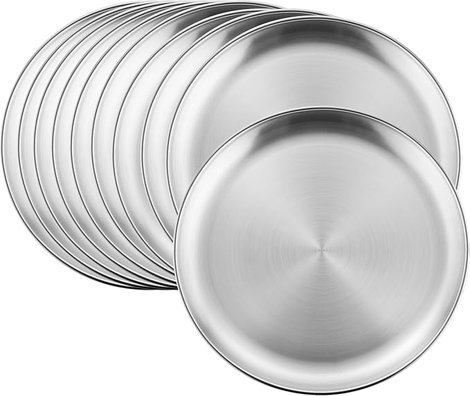 HaWare 10-Piece 18/8 Stainless Steel Plates, Metal 304 Dinner Dishes for Kids Toddlers Children, 10 Inches Feeding Serving Camping Plates, Reusable and Dishwasher Safe