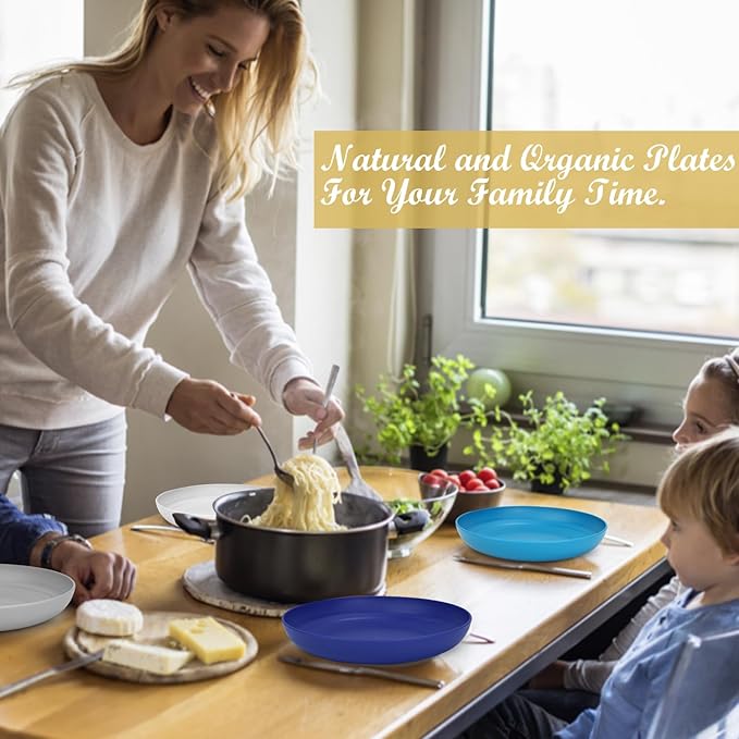 Wheat Straw Plates - 10 Inch Unbreakable Dinner Plates Set of 8 - Dishwasher & Microwave Safe Plastic Plates Reusable - Plates easy to clean for kitchen,camping.White-Grey-Blue, Island Series