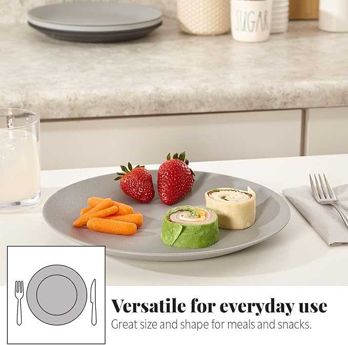 US Acrylic Everest Ultra-Durable Plastic 10 inch Dinner Plates in Grey Stone | Set of 6 Reusable, BPA-Free, Made in the USA, Dishwasher Safe Dinnerware