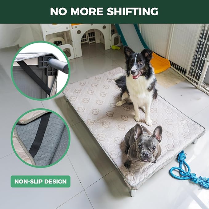 FXW TitanNest Chew-Proof Elevated Dog Bed, Raised Cot for Indoor/Outdoor/Camping Use, Durable & Washable Padded Pet Bed with Exclusive Cover for Large Dogs, 50.0" L x 31.0" W x 7.3" H, Gray