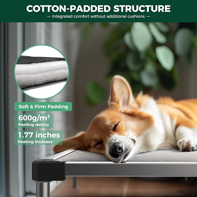 FXW TitanNest Chew-Proof Elevated Dog Bed, Raised Cot for Indoor/Outdoor/Camping Use, Durable & Washable Padded Pet Bed with Exclusive Cover for Large Dogs, 50.0" L x 31.0" W x 7.3" H, Gray