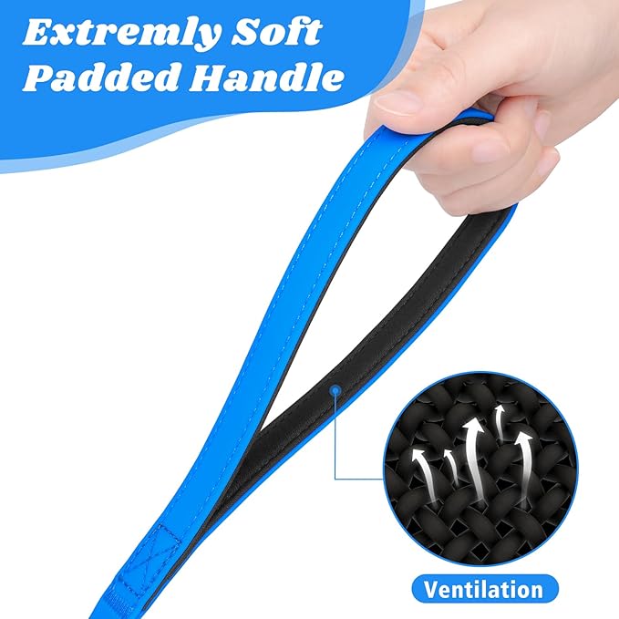 XiaZ Waterproof Long Dog Leash 30 feet, Training Long Line Lead for Large Medium Small Dogs Outside Walking, Playing, Camping, or Yard (30FT, Blue)