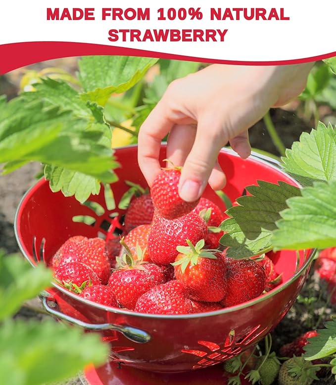 Large 18oz Freeze Dried Strawberries - Big Can of 100% Natural Sweet Dry Frozen Strawberry Pieces, No Gluten & No Allergen, Resealable Container for Snacks, Baking, Yogurt, Smoothies, 510g
