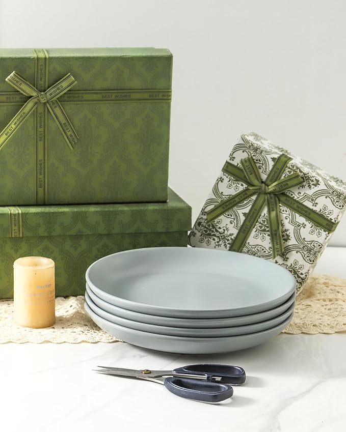 Dinner Plates Set of 4, 10 Inch Plates Set for Salad, Appetizer, Dessert, Stoneware Dinnerware Dishes for Kitchen Gift, Microwave & Dishwasher Safe, Pebble Gray