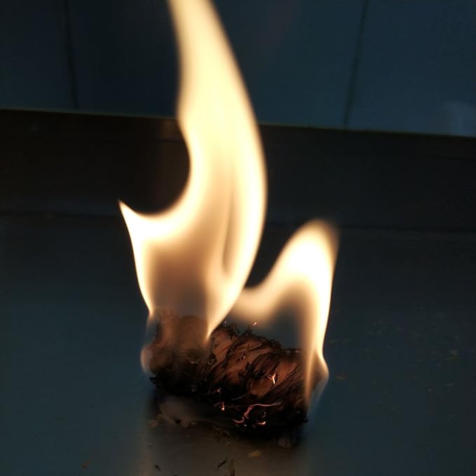 100% Natural Charcoal Fire Starters Super Fast Lighting,Perfect for Barbecue Grills, Kamado, Smokers, Wood Stove and Campfire (500+)