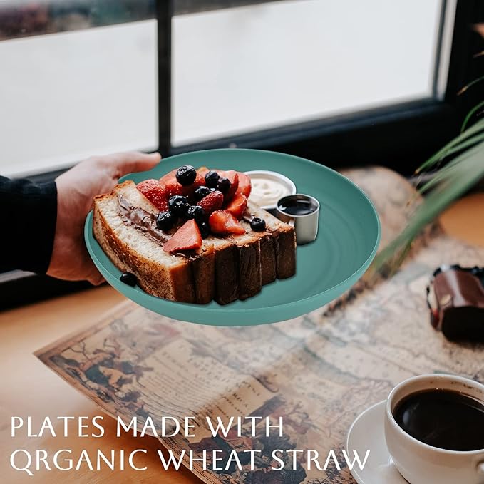 Homienly 6-Piece Wheat Straw Dinner Plates - Microwave & Dishwasher Safe, Unbreakable Kids Plates with 6 Colors (8 INCH)