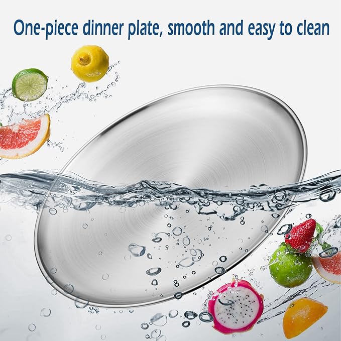 HaWare 10-Piece 18/8 Stainless Steel Plates, Metal 304 Dinner Dishes for Kids Toddlers Children, 10 Inches Feeding Serving Camping Plates, Reusable and Dishwasher Safe