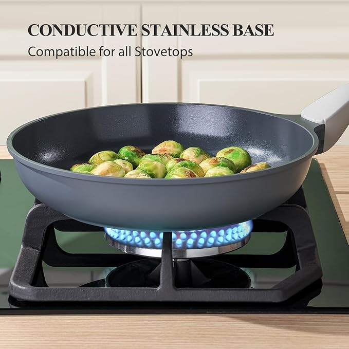 Nonstick Ceramic Frying Pan with Lid, Non Toxic Skillet, Healthy Egg & Omelet & Chef's Skillet, PTFE PFOA & PFAS Free, Induction Compatible. (10Inch W/L)
