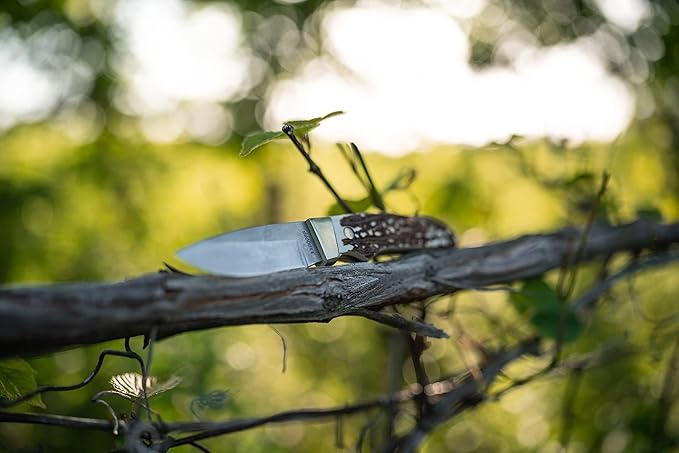Uncle Henry PH2N Next Gen Mini Pro Hunter 6.75in High Carbon S.S. Full Tang Fixed Blade Knife with a 2.8in Blade and Staglon Handle for Outdoor Survival, Camping and Hunting, White/Brown