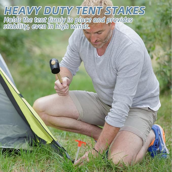 40PCS 10 Inch Heavy Duty Tent Stakes, Metal Tent Pegs, Galvanized Non-Rust Tent Stakes for Outdoor Camping, Garden, Canopies, Grassland