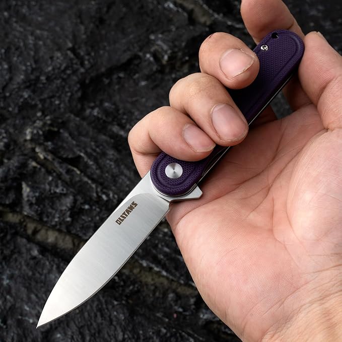 G040 Pocket Knife, 2.75'' D2 Steel Blade G10 handle, Small EDC Knife with Pocket Clip for Men Women, 2.1oz