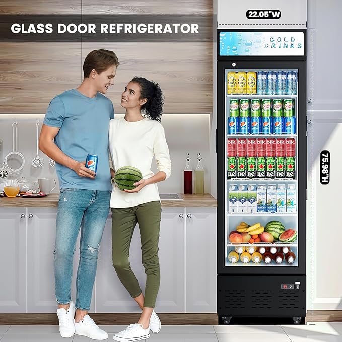 Glass Door Refrigerator Commercial Beverage Refrigerators with LED Light, 11 Cu.ft and 5 Shelves, Display Refrigerator for Cafe Restaurant Store Bar