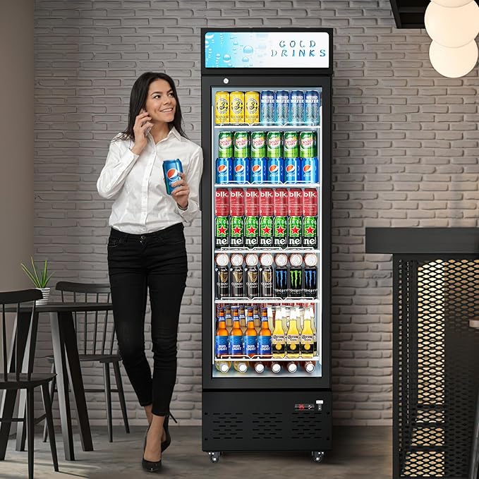 Glass Door Refrigerator Commercial Beverage Refrigerators with LED Light, 11 Cu.ft and 5 Shelves, Display Refrigerator for Cafe Restaurant Store Bar