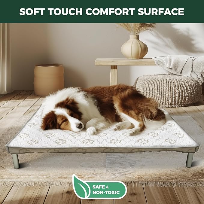 FXW TitanNest Chew-Proof Elevated Dog Bed, Raised Cot for Indoor/Outdoor/Camping Use, Durable & Washable Padded Pet Bed with Exclusive Cover for Large Dogs, 50.0" L x 31.0" W x 7.3" H, Gray
