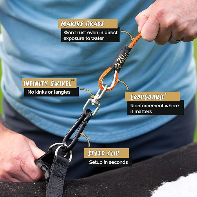 Dog Tie Out Cable - Tie Out Cable for Dogs (up to 300 lbs) - Use Dog Tie-Outs & Stakes for Outside - Best Heavy Duty Dog Leash for Large Dogs (20ft - Royal Orange)