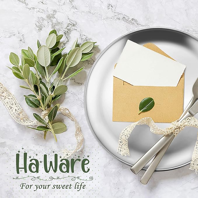 HaWare 4-Piece 18/8 Stainless Steel Plates, Metal 304 Dinner Dishes for Kids Toddlers Children, 9 Inch Feeding Serving Camping Plates, Reusable Dinnerware, Shatterproof & Non-toxic, Dishwasher Safe