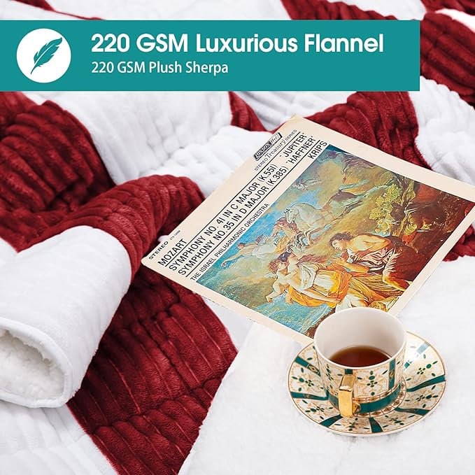 Weighted Blanket for Adults (15lbs, 48"x72" Twin Size) - Sherpa Fuzzy Heavy Blanket for 120-160lbs with Premium Glass Beads - Soft Thick Blanket for All-Season Sleeping Comfort - Red
