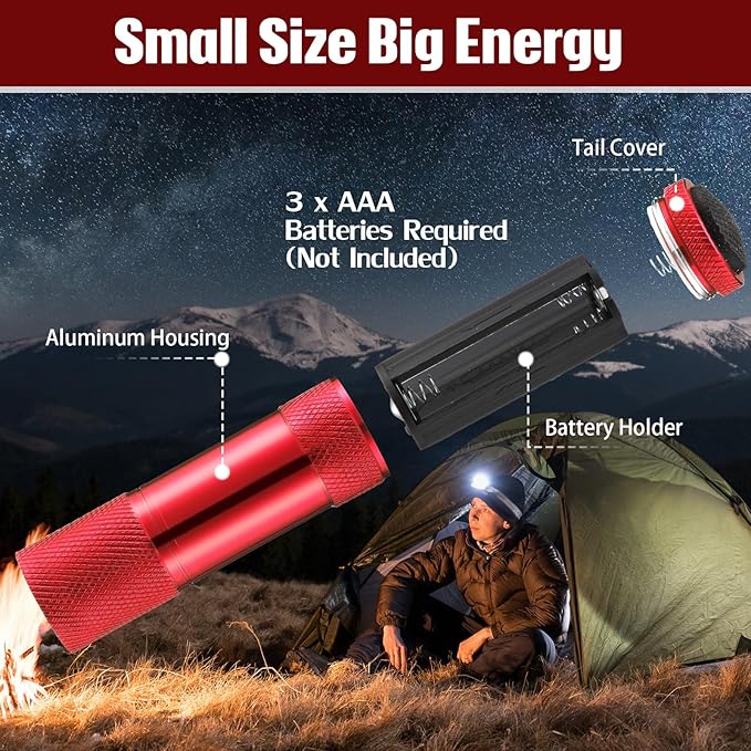 VIHOSE 48 Pcs Mini Flashlights Bulk, Bright Aluminum Handheld Flash Light with Lanyard, Small LED Flashlights for Kids Night Reading Emergency Hurricane Camping Hiking Party Favors(Red)