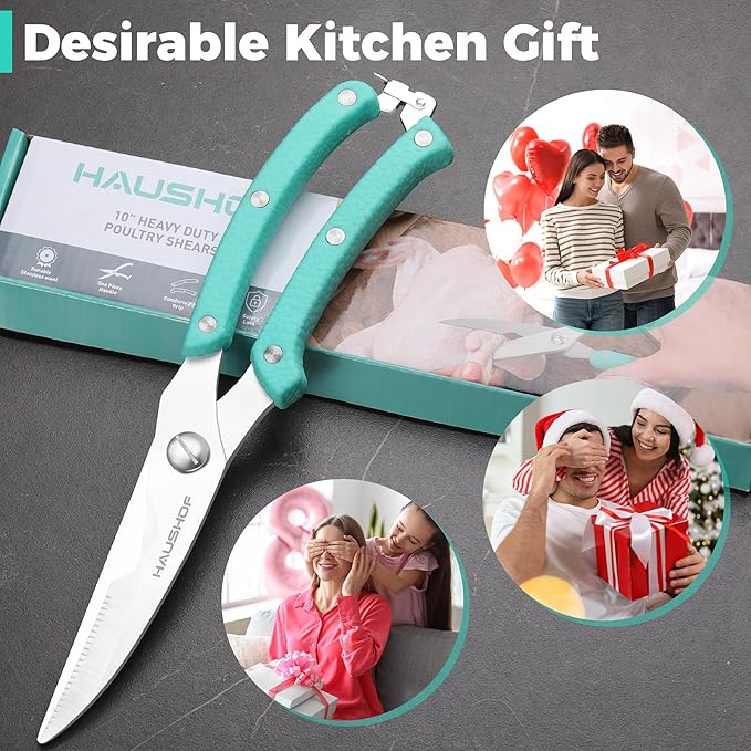 HAUSHOF Kitchen Shears for Food, Heavy Duty Poultry Shears, Stainless Steel Sharp Kitchen Scissors with Serrated Blade, One-Piece Handle, Spring, Safety Lock, 10" Food Scissors for Bones, Meat, Fish
