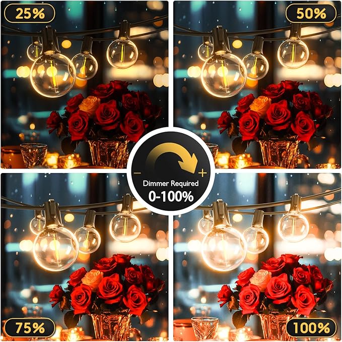 Outdoor String Lights 30ft LED Hanging Globe Patio Lights with G40 Shatterproof Bulbs(10+1 Bulbs), Waterproof Connectable Hanging Light for Indoor Outdoor Decor Garden Camping Backyard Porch