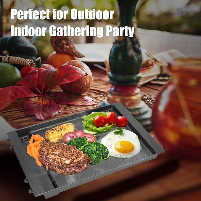 7566 Griddle Pan for Weber Genesis 300 Series, Cast Iron Grill Plate Accessories for Weber Genesis E-310 E-320 E-330 S-310 S-320 S-330 EP-310 EP-320 EP-330 CEP-310