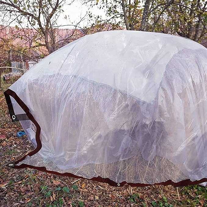 6' x 10' Clear Poly Tarp Heavy Duty with Grommets for Henhouse Porch Greenhouse Camping