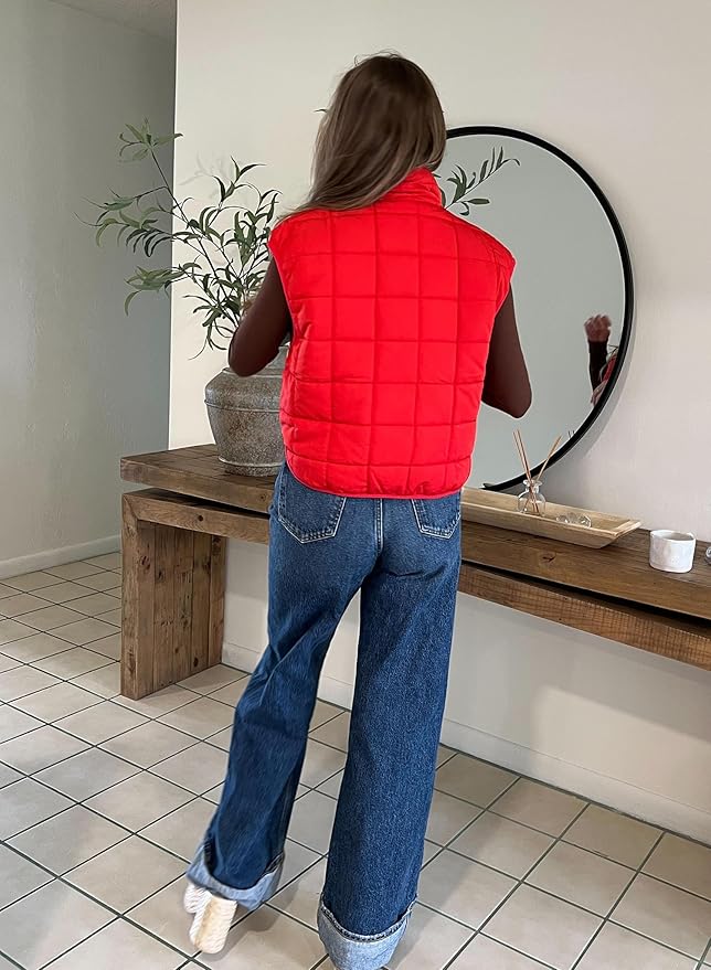 Zeagoo Womens Puffer Vest Ladies Sleeveless Zip Up Outerwear Warm Puffer Lightweight Down all Winter Jackets Coats 2025