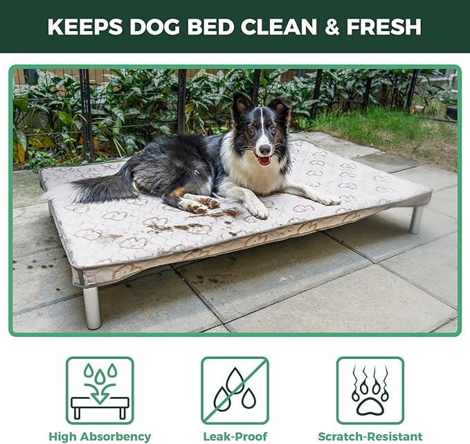 FXW TitanNest Chew-Proof Elevated Dog Bed, Raised Cot for Indoor/Outdoor/Camping Use, Durable & Washable Padded Pet Bed with Exclusive Cover for Large Dogs, 50.0" L x 31.0" W x 7.3" H, Gray
