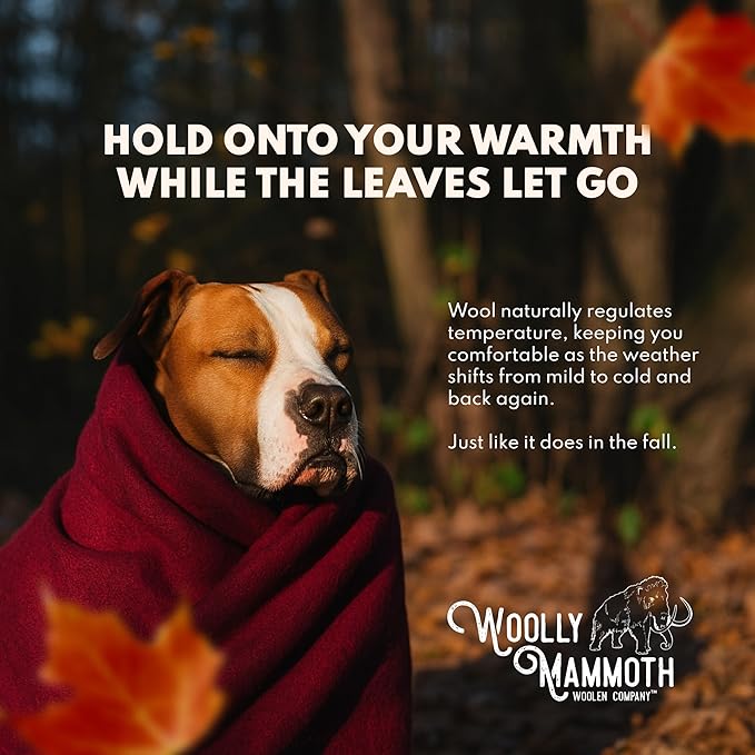 Woolly Mammoth Woolen Company Merino Wool Throw Blanket - 66 x 90 in, 4 lb, Hunter Green - Heavyweight & Breathable - Camping Essentials & Hunting Essentials