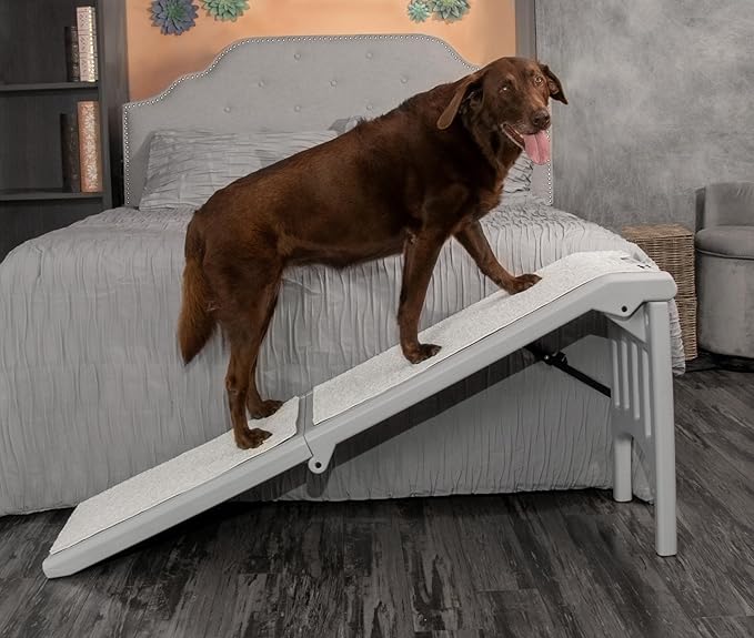 Pet Gear Free Standing Pet Ramp for Cats and Dogs, No Assembly Required, Easy Fold for Storage or Travel, Portable, Available in 6 Models