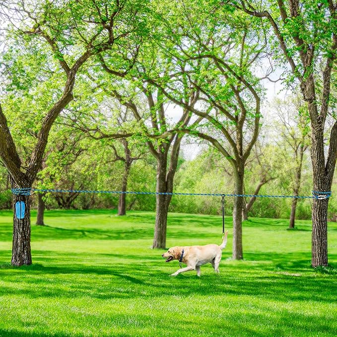 XiaZ Dog Tie Out Cable for Camping, 75ft Portable Overhead Trolley System for Dogs up to 200lbs,Dog Lead for Yard, Camping, Parks, Outdoor Events,5 min Set-up,Blue
