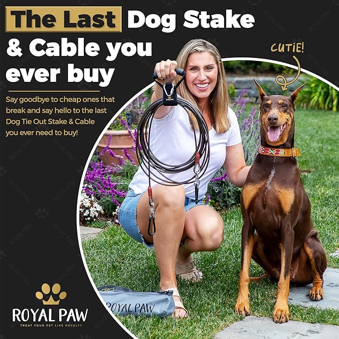 Dog Tie Out Cable and Stake 30ft - for Large Dogs up to 300 lbs - Heavy Duty Tether and Dog Stake for Yard, Beach & Camping Outside (Black, L/XL - 30ft)