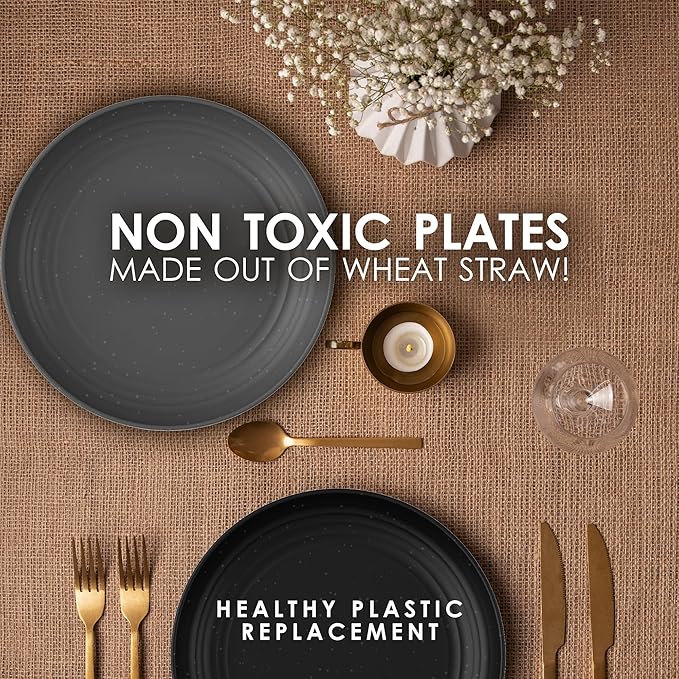 Wheat Straw Plates 10 inch - Alternate to Black Plastic Dinner Plate set of 8 - Microwave Safe Plates For Kitchen - Unbreakable Black Dishes For Kids Adults - Camping Dishes - Reusable Plastic Dish
