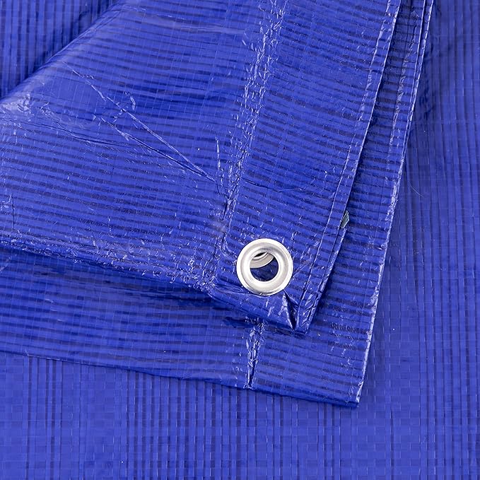 Kotap 20-ft x 30-ft General Purpose Blue Poly Tarp, Item: TRA-2030