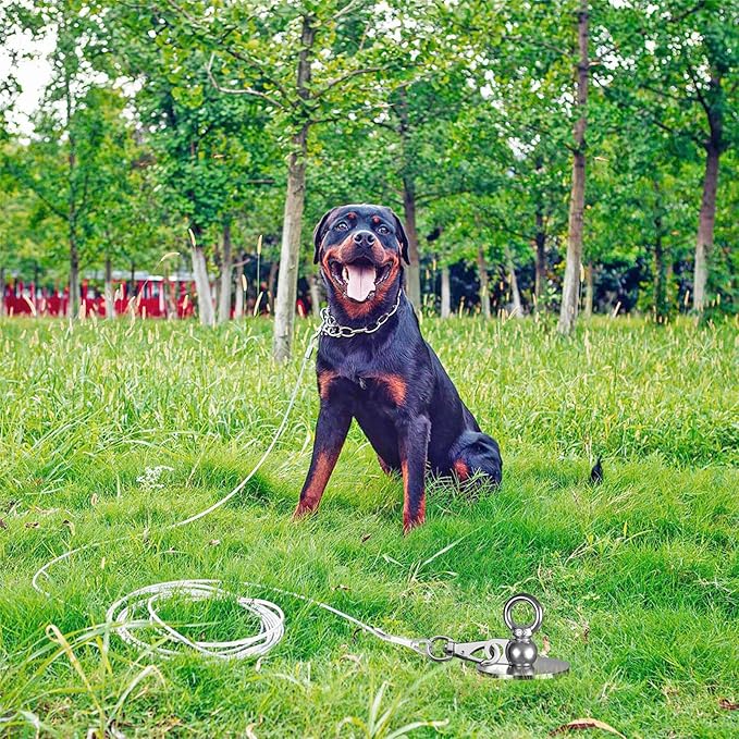 Heavy Duty Dog Tie Out Stake, 15" Dog Anchor, 360° Swivel, No Tangle, Easy Install, for Large Dogs up to 220lbs, Perfect for Yard, Camping, Beach (Silver)