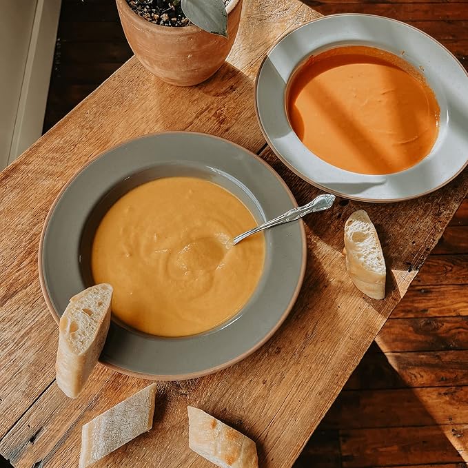 Mora Ceramic Wide Rimmed Soup Bowl 25oz, Set of 4 - For Pasta, Italian, Spaghetti, Dipping Bread, Fancy Dinner etc. Large Plate/Bowls Hybrid For Everyday & Restaurant Use, Flat Rim - Assorted Neutrals