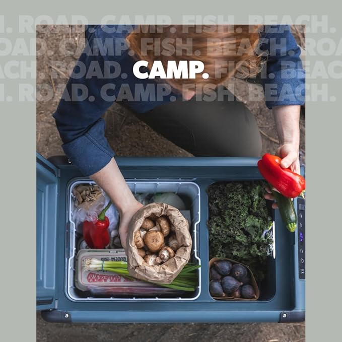 Dometic CFX2 37-Liter Portable Refrigerator and Freezer, Powered by AC/DC